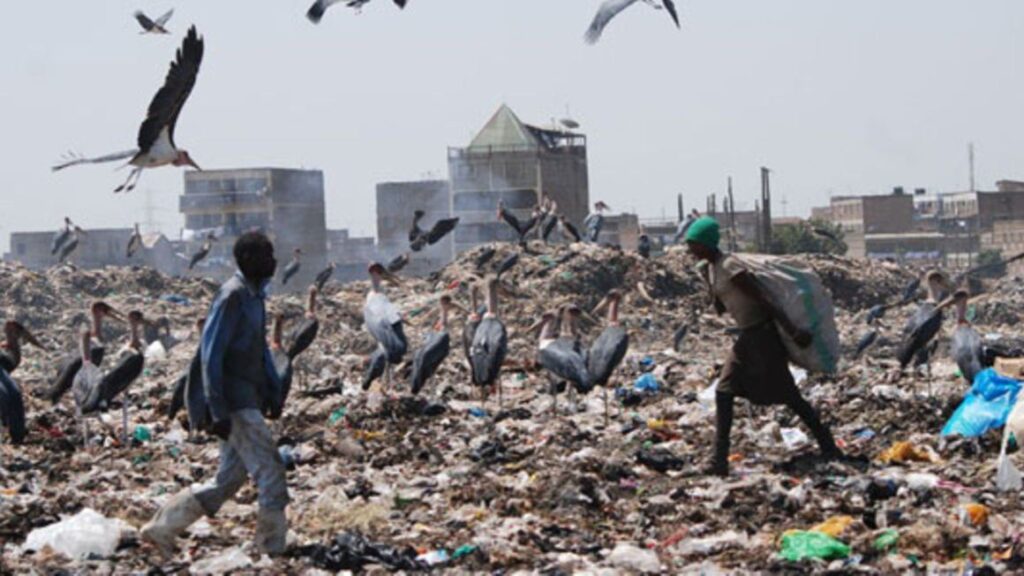 Garbage at the dandora landfill. the NMS has partnered with Kengen in an effort to help reduce the garbage at the site. this will be done through converting the Waste into electricity.