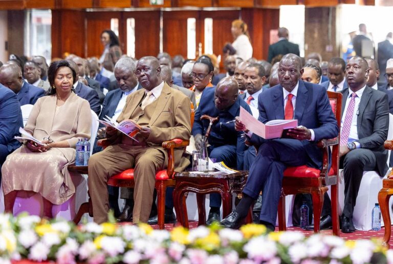 Maisha Namba Update: 20 Million Digital IDs Issued – ICON NEWS
