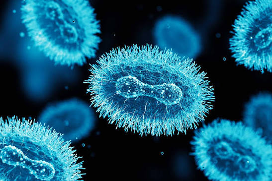 MPOX CASES REPORTED IN 40 COUNTIES AS KENYA STEPS UP SURVEILLANCE